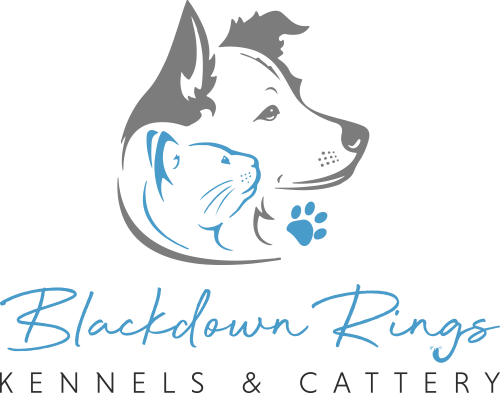 Blackdown Rings Kennels & Cattery South Hams Devon Plymouth Boarding Kennels